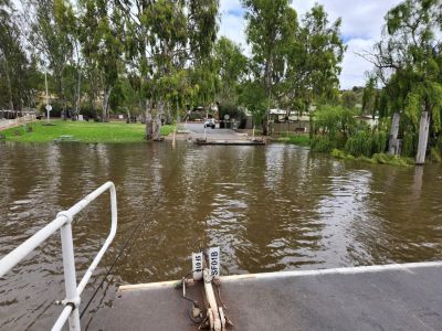 River Murray flood update: Mannum upstream ferry to close 