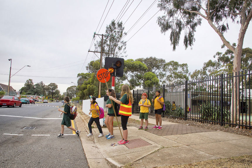 Koala Crossing image 