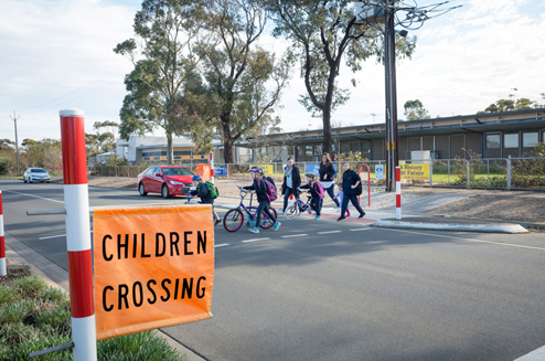 Emu Crossing 