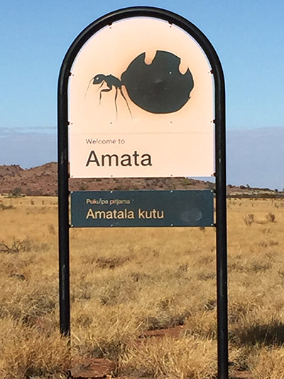 Amata sign 1