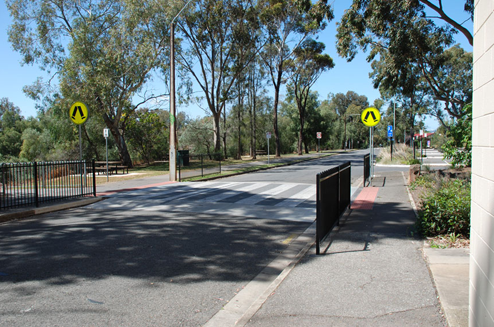 Wombat Crossing