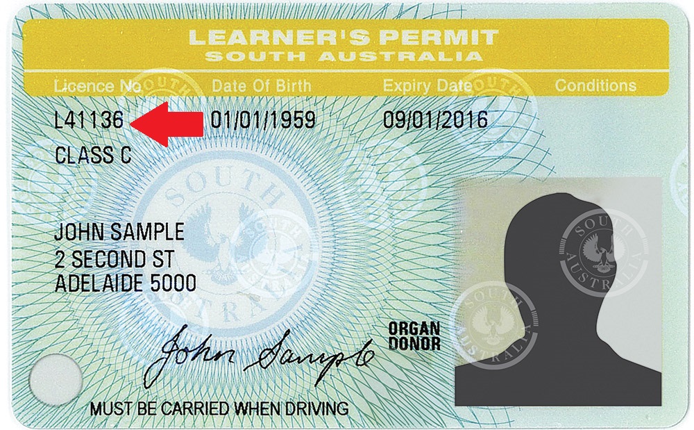 On The Right Track Learner s Permit Number
