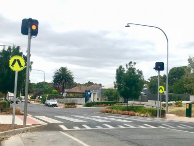 Wombat crossing