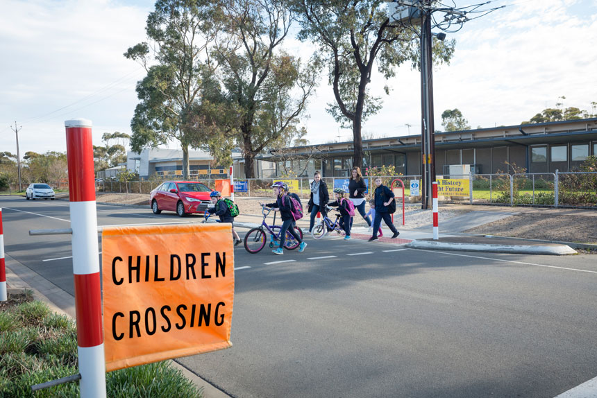 Emu Crossing image 