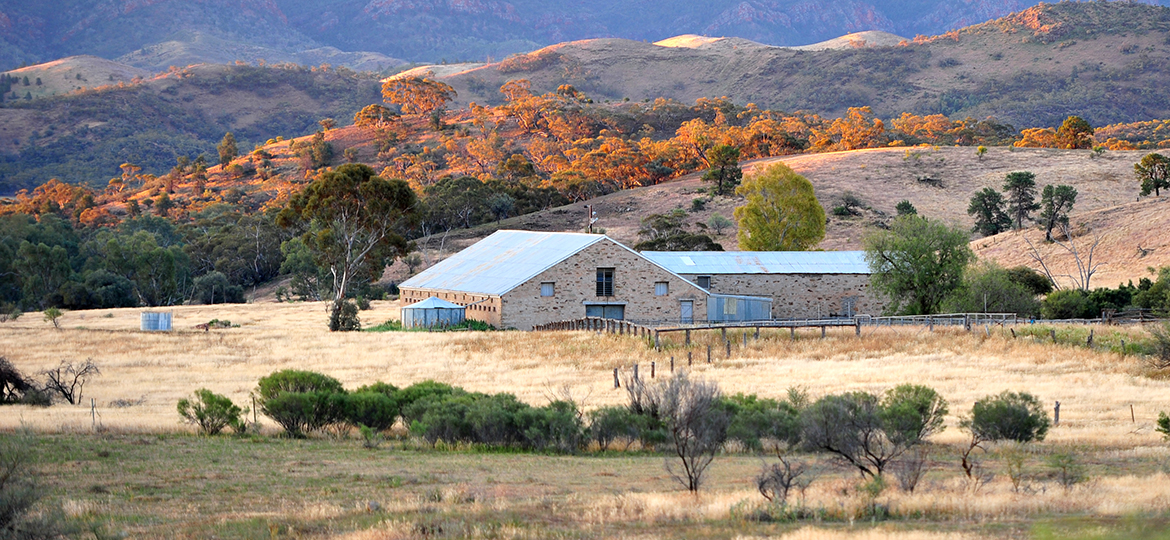 <p>South Australians can now access the online Planning and Design Code (outback and rural areas), plus a wide range of learning and support resources to ensure everyone can comfortably navigate the new planning system.</p>