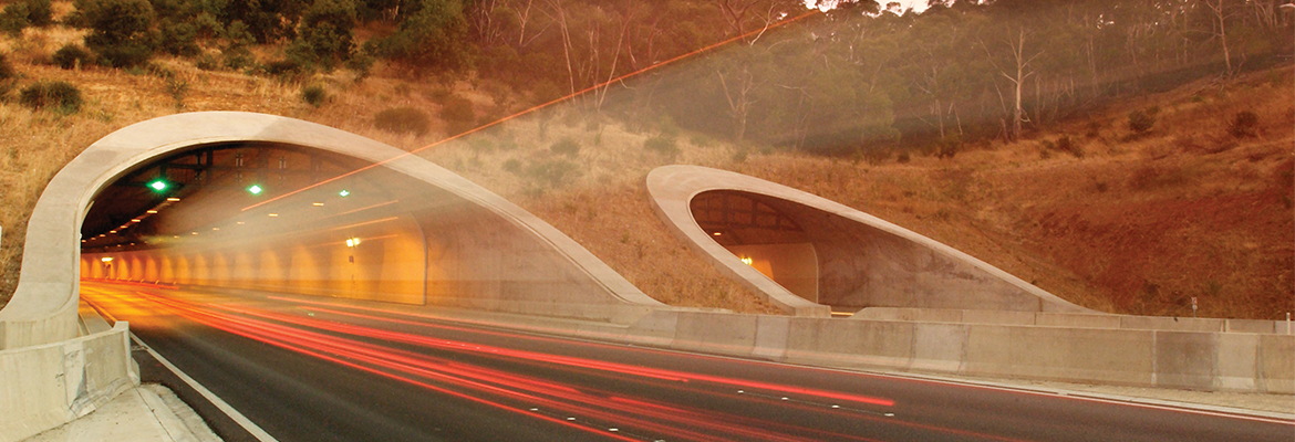 Heysen Tunnels